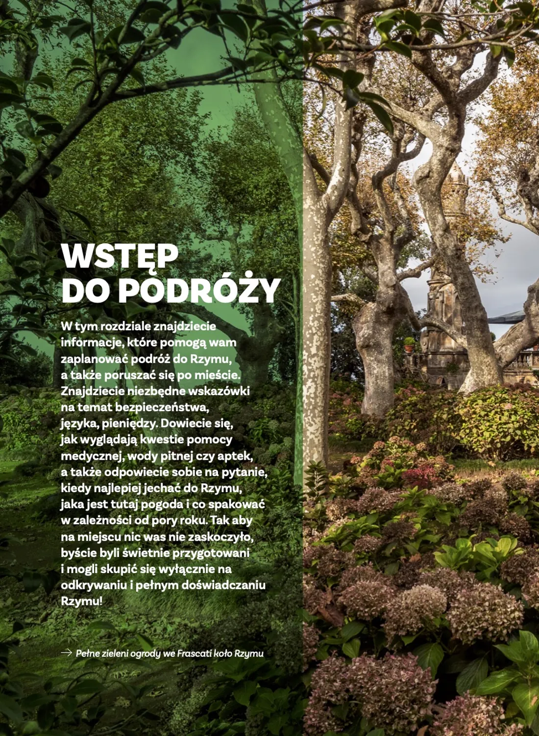 Strona przewodnika „Rzymbook”
